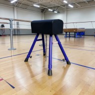 Gimnastică clasică cu capră și 4 picioare