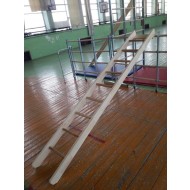 Scară pentru perete suedez