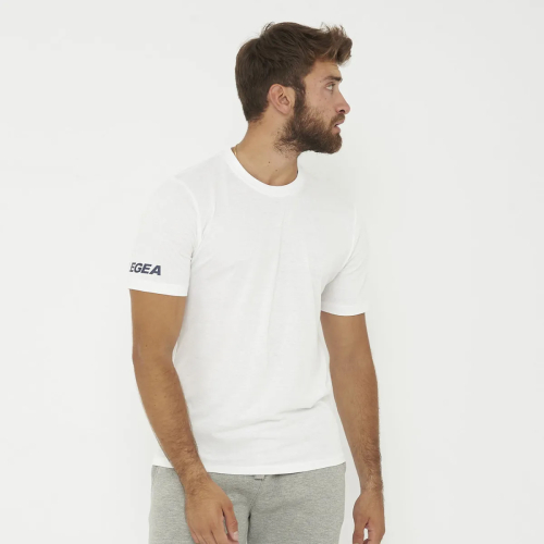 Alb