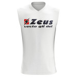 Maiou Clizia, ZEUS-0