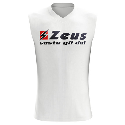 Maiou Clizia, ZEUS-0