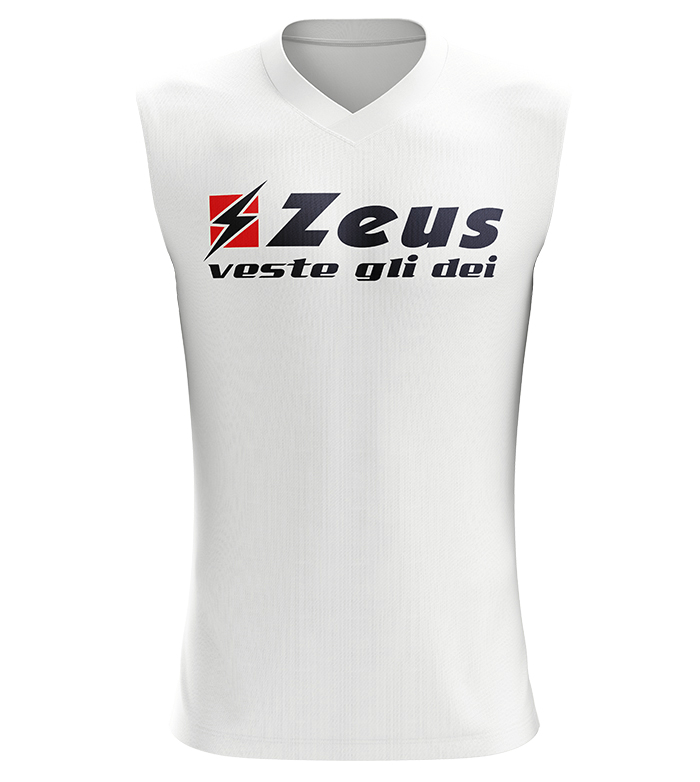 Maiou Clizia, ZEUS-0 Maiou Clizia, ZEUS-0